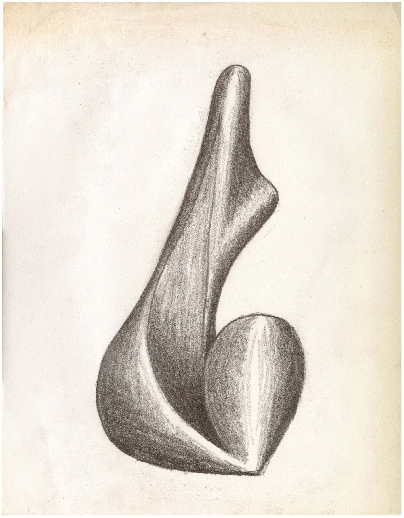 A pencil sketch of an abstract, shell-like shape with highlighting and shading details.